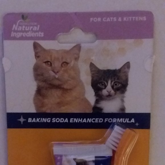 🎉5 for $10🎉New Cat & Kitten Dental Kit - Picture 5 of 5
